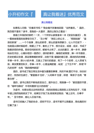 小升初作文___真让我着迷优秀范文.docx