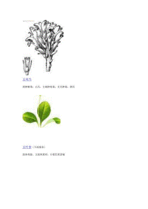 3000种中医药材第501-600种.docx