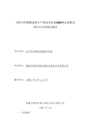 3000吨水晶粉皮(可行性报告).docx