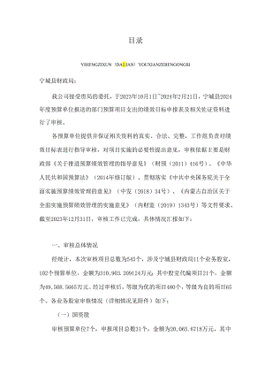 宁城县2024年度预算绩效目标审核工作报告.docx