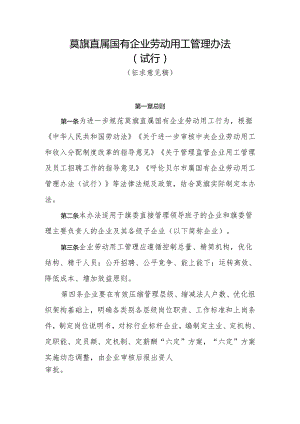 旗级国有企业劳动用工管理办法.docx