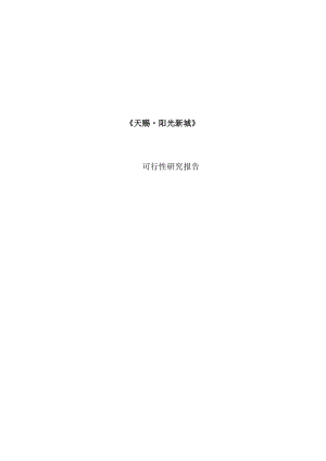 X新城可行性研究报告.docx