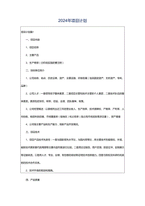 2024年项目计划.docx