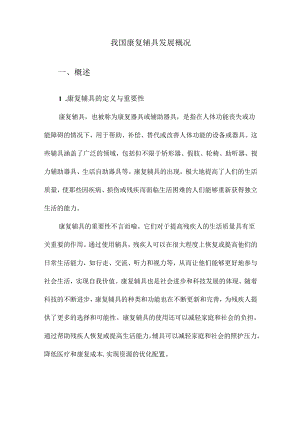 我国康复辅具发展概况.docx