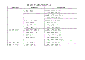 甘肃小型水电站安全生产标准化评审细则.docx