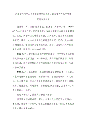 湖北省大冶市人大常委会原党组成员、副主任黄开旺严重违纪违法案剖析.docx