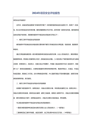 2024年项目安全评估报告.docx