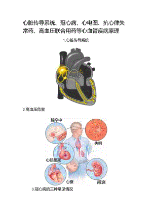 心脏传导系统、冠心病、心电图、抗心律失常药、高血压联合用药等心血管疾病原理.docx