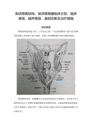 梨状隐窝结构、梨状隐窝瘘临床分型、临床表现、超声表现、鉴别诊断及治疗措施.docx