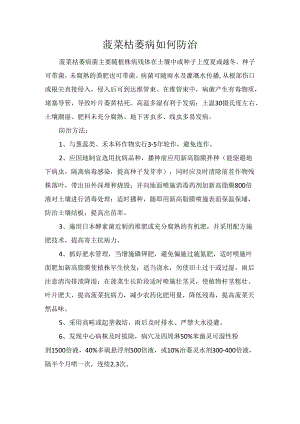 菠菜枯萎病如何防治.docx