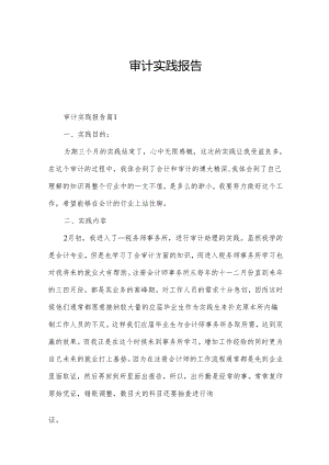 审计实践报告.docx