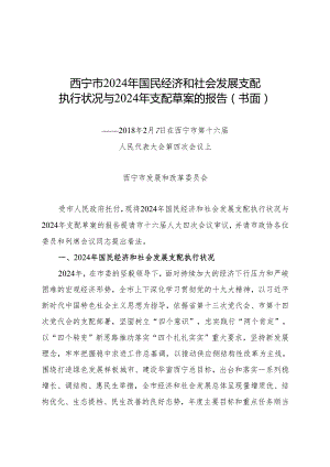 西宁市2024年计划报告.docx