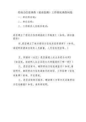 劳动力信息调查（就业监测）工作情况调查问卷.docx