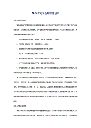 2024年助学金用款计划书.docx