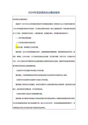 2024年项目绩效支出整改报告.docx