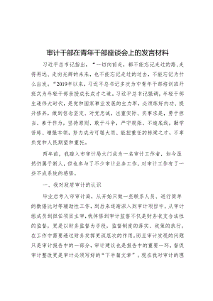 审计干部在青年干部座谈会上的发言材料.docx