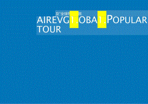 营销策划 -五菱Air海外营销结案报告.docx