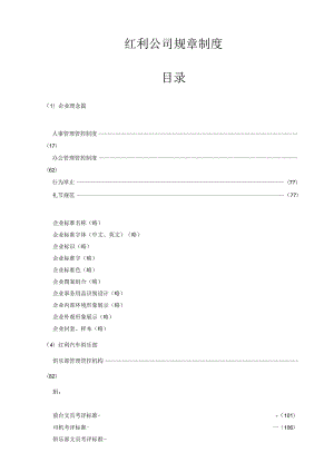 X汽车租赁有限企业规章制度.docx