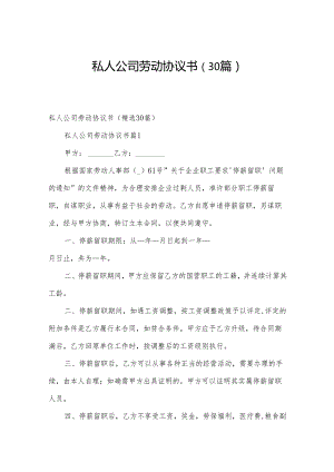 私人公司劳动协议书（30篇）.docx