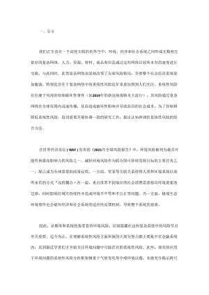 迈向系统性环境风险管理.docx