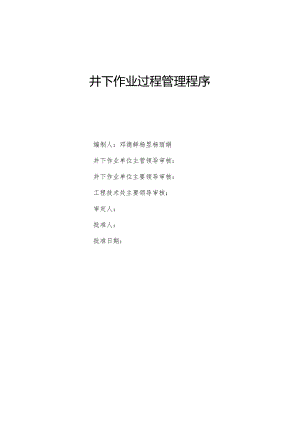 30(0)井下作业过程管理程序--程序文件.docx