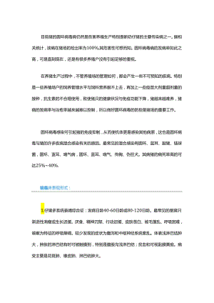 “圆环病毒病”猪场的检出率为100%我们应该如何防控？.docx
