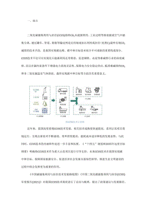 我国碳捕集利用与封存技术发展研究 - 副本.docx