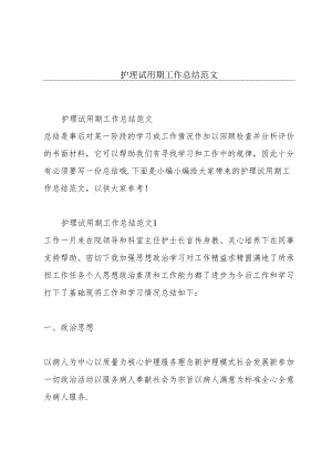 护理试用期工作总结范文.docx