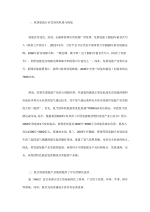 中国发展“氨-氢”能源路线实现碳中和的机遇与挑战.docx