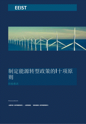 制定能源转型政策的十项原则-60页.docx