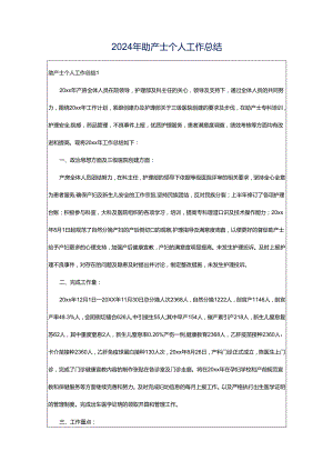 2024年助产士个人工作总结.docx