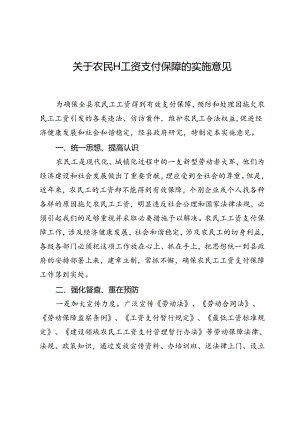 关于农民工工资支付保障的实施意见.docx