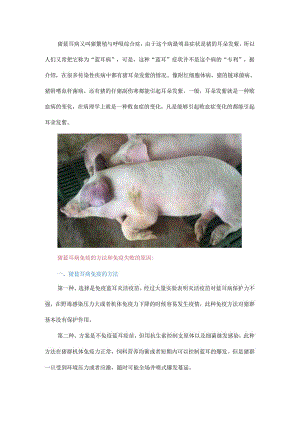 为何打了蓝耳苗还是发病？猪蓝耳病免疫的方法和免疫失败的原因.docx