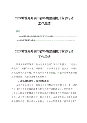 2024城管局开展市容环境整治提升专项行动工作总结.docx