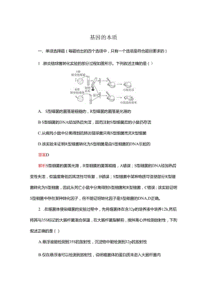 2023-2024学年 人教版 必修二 基因的本质 作业.docx