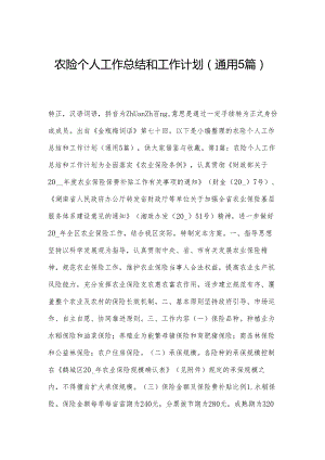 农险个人工作总结和工作计划(通用5篇).docx