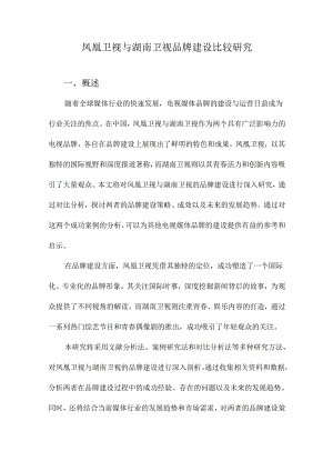 凤凰卫视与湖南卫视品牌建设比较研究.docx