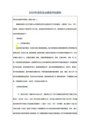 2024年项目支出绩效评估报告.docx