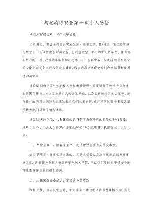 湖北消防安全第一课个人感悟.docx