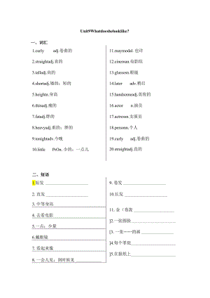Unit 9 Have you ever been to a museum_知识点汇总练习.docx