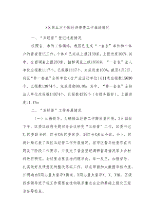 X区第五次全国经济普查工作推进情况.docx