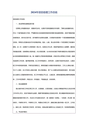 2024年项目助理工作总结.docx