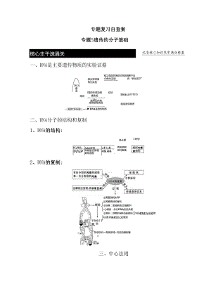 专题复习自查案专题 遗传的分子基础知识点梳理汇总.docx