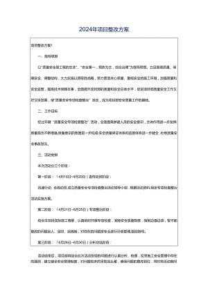 2024年项目整改方案.docx