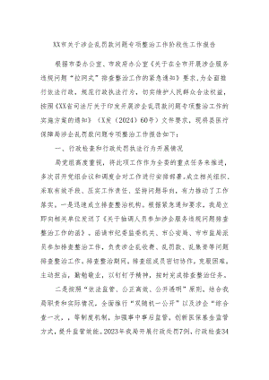 XX市关于涉企乱罚款问题专项整治工作阶段性工作报告.docx