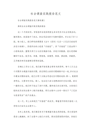 社会调查实践报告范文.docx