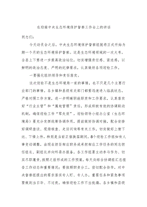 在迎接中央生态环境保护督察工作会上的讲话.docx