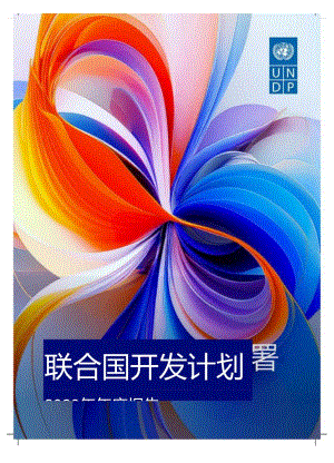 2023年联合国开发计划署年度报告.docx