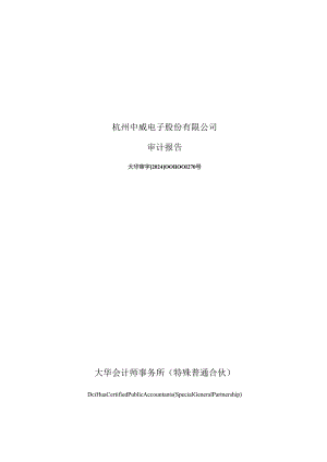 中威电子：2023年年度审计报告.docx
