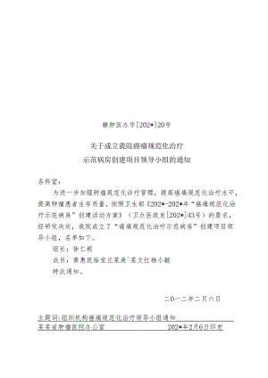 我院癌痛规范化治疗示范病房创建项目领导小组.docx